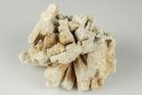 Radiating, Sand Celestine (Celestite) Crystals - Kazakhstan #193431-1
